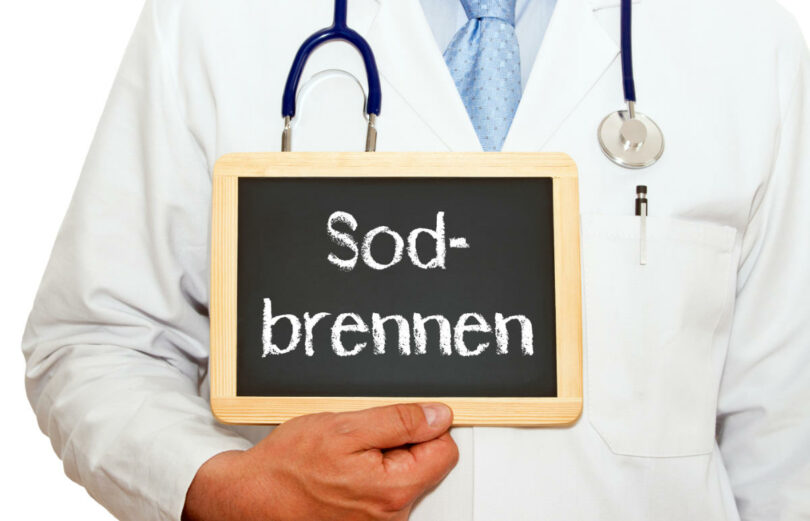 Sodbrennen bei Hunden