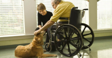 Therapiehund und ein Senior im Rollstuhl