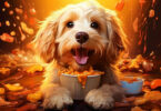 Ein fröhlicher Hund sitzt vor einer Schüssel mit Leckerlis, umgeben von fliegenden Snacks.