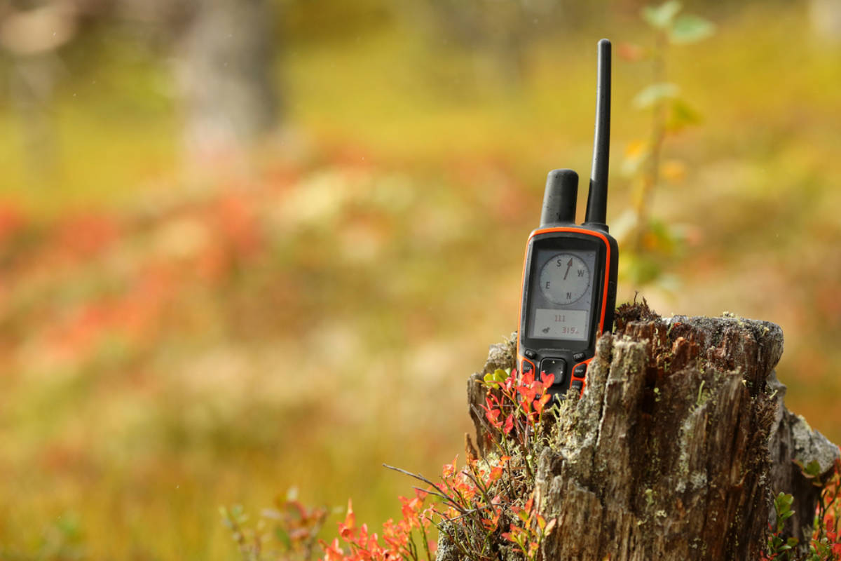 Warum ist ein GPS Tracker für Hunde sinnvoll? Hundestar Dein