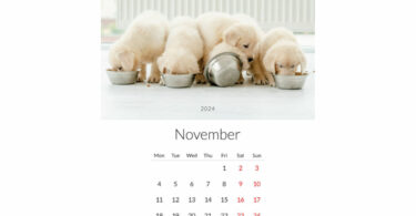 Fünf weiße Welpen fressen gemeinsam aus Schüsseln auf einem Kalenderblatt mit dem Monat November.