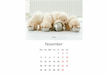 Fünf weiße Welpen fressen gemeinsam aus Schüsseln auf einem Kalenderblatt mit dem Monat November.