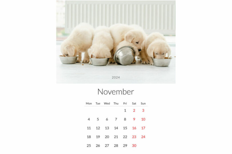 hunde kalender selbst gestalten 2