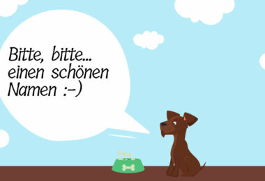 Ein brauner, animierter Hund sitzt neben einem Knochen und bettelt in einer Sprechblase um einen schönen Namen.