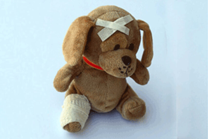 Ein Plüschhund mit einem Pflaster am Kopf und einem verbandenen Bein auf weißem Hintergrund.