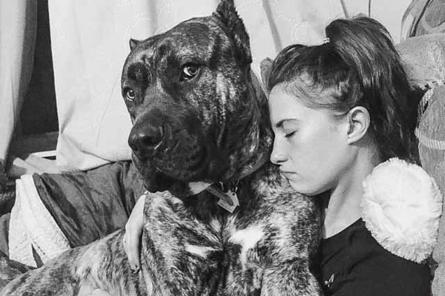 Ein Mädchen umarmt liebevoll einen großen gefleckten Hund auf einem Sofa.